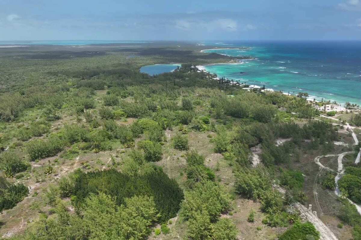 Vlcsnap 2026 02 17 16h50m42s039