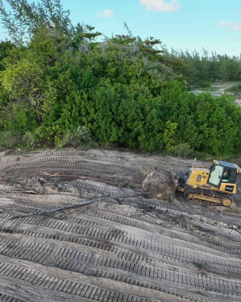 Vlcsnap 2026 02 17 16h51m55s541