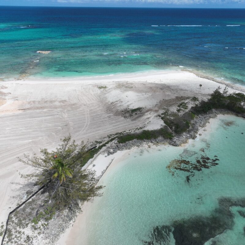 DJI 20260312145918 0016 V (Custom)