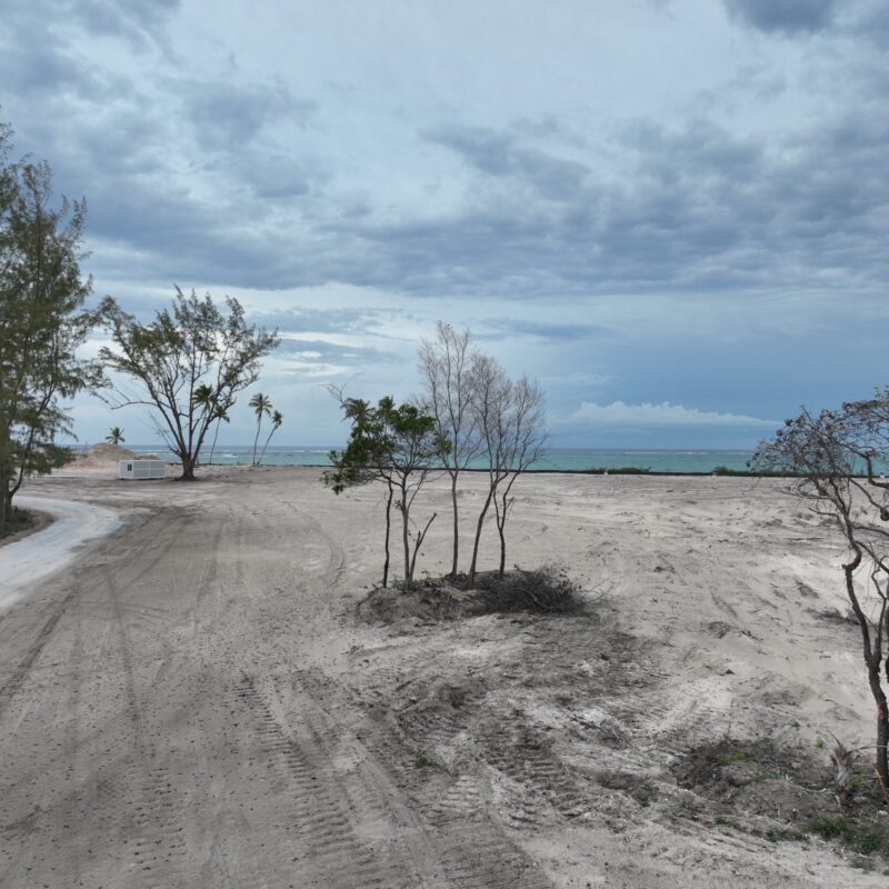 DJI 20260317162245 0001 V (Custom)