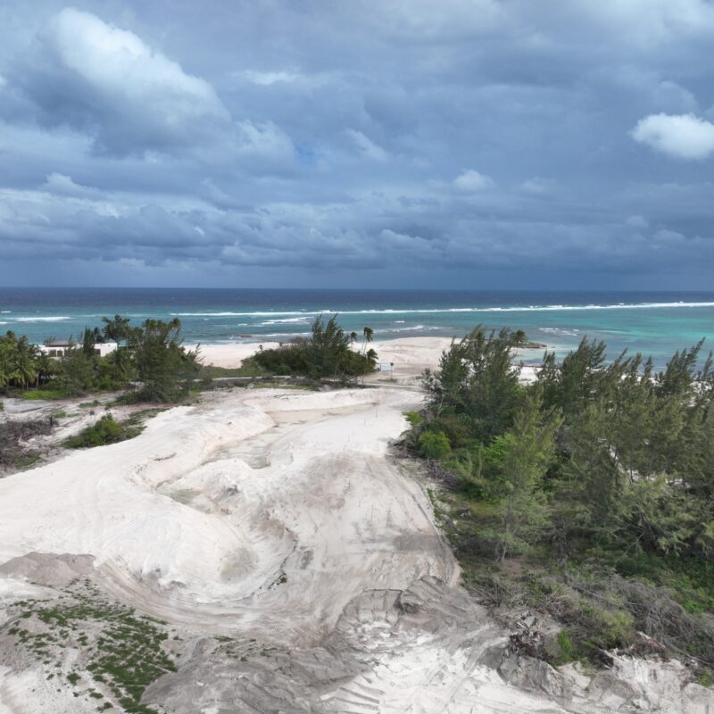 DJI 20260320155503 0002 V (Custom)